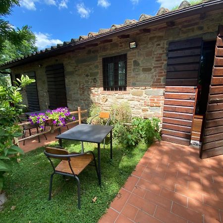 Villa Agriturismo Stazione Di Monta Vicchio Exterior foto