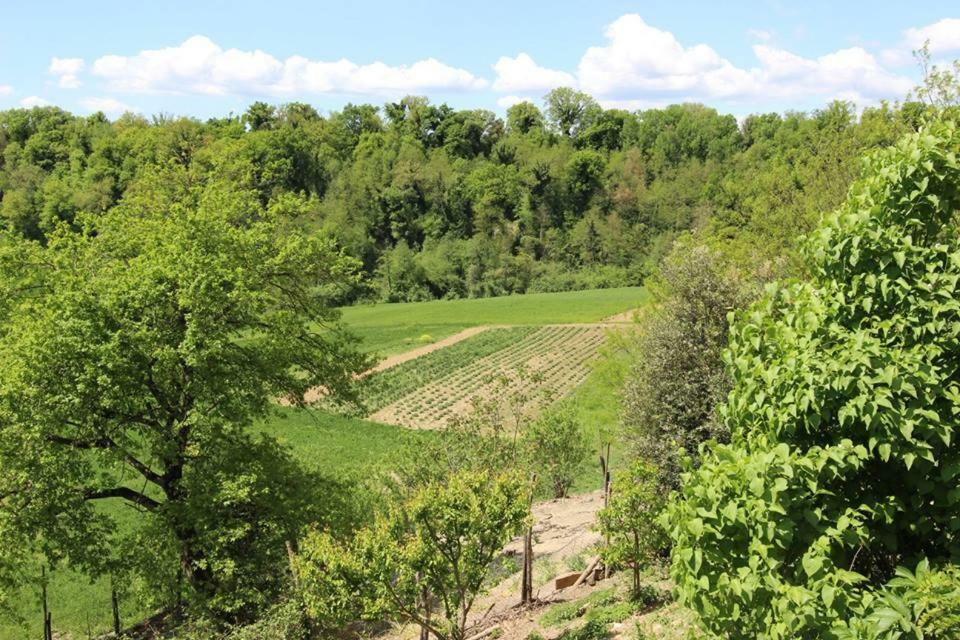 Villa Agriturismo Stazione Di Monta Vicchio Exterior foto